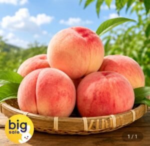 딱딱이 백도복숭아 고당도 4kg 22~24과