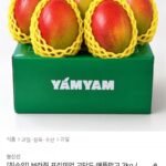 브라질 프리미엄 고당도 애플망고 2kg 4-5입
