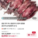 자연산 통찜 한치 1kg 30-40미