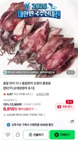 자연산 통찜 한치 1kg 30-40미