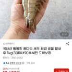 흰다리 새우 활새우 1kg 30미 내외