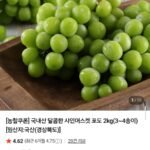 국내산 샤인머스켓 2kg
