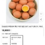 무항생제 특란 60구