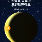 네페 포인트 뽑기 (무료 / 배송비 무료)