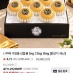 26년 햇 나주배 선물세트 5kg (9-10과)