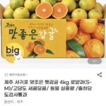 제주 햇감귤 4kg 로얄과