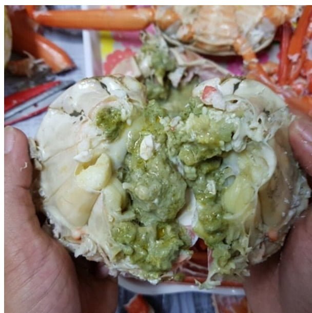 구룡포 자숙 홍게 A급 5kg
