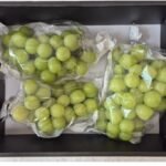 국산 샤인머스켓 1kg