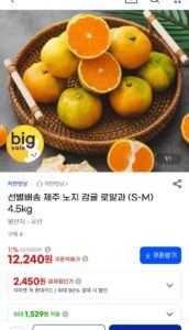 제주 노지감귤 로얄과 4.5kg