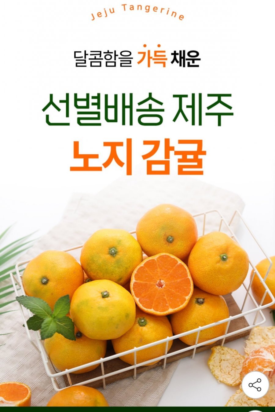 제주 노지감귤 로얄과 4.5kg