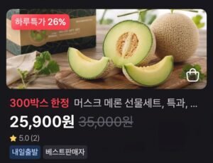 머스크 멜론 2수 4kg 선물포장