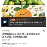 극조생감귤 꼬마소과 4.5kg