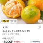 극조생 감귤 햇귤, 혼합과, 5kg, 1개