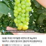 샤인머스캣 2kg 3~4수
