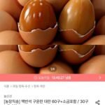 농장직송 맥반석 구운란 대란 60구+소금포함