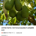 프리미엄 아보카도 10과 직수입