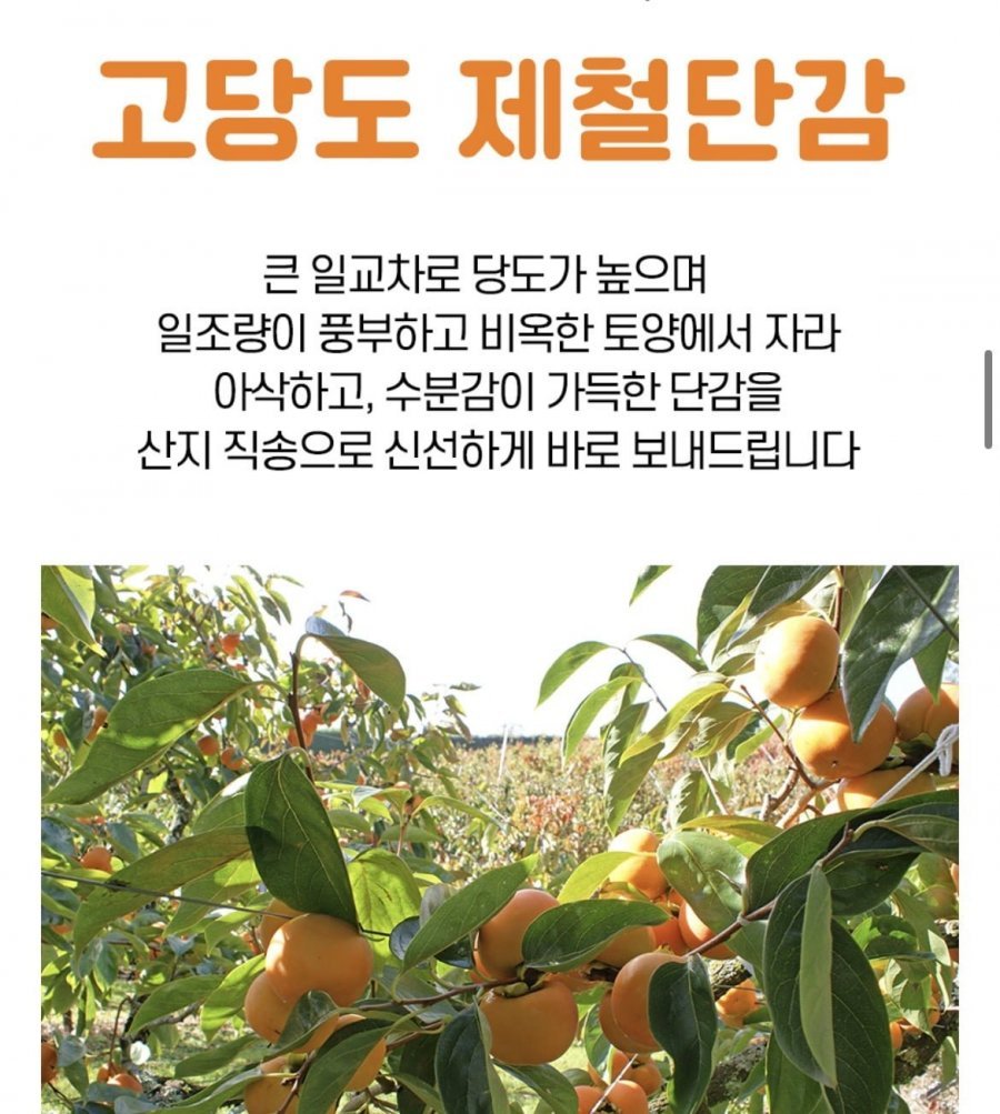 아삭하고 달콤한 제철 서촌 단감 정품 1kg