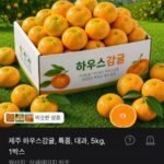 제주귤 5kg,대과 1박스, 저렴해서 추천합니다