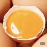 (네멤) 난각1번 유정란 20구
