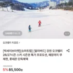 강원 오크밸리 26/27시즌 주중 스키 시즌권