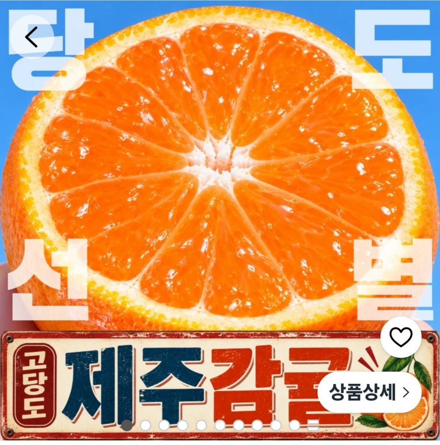 고당도 제주 감귤 귤 5kg