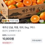 제주 감귤 대과 5kg 특품