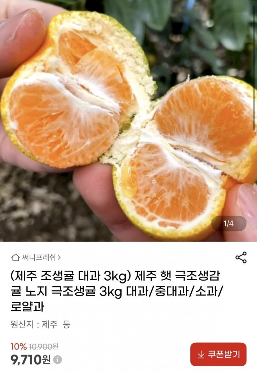제주 극조생감귤 대과 3kg