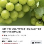 고당도 샤인머스켓 특품 2kg 3-4수