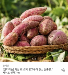 햇 호박고구마 특상사이즈 5kg