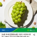 (농할30%+5%) 고당도 샤인머스켓 당도선별 특품 2kg 4수