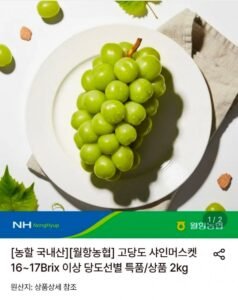 (농할30%+5%) 고당도 샤인머스켓 당도선별 특품 2kg 4수