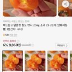 청도 반시 2.5kg 소과 23-28과
