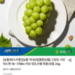 샤인머스켓 2kg 특품