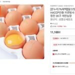 무항생제 자연방사 난각번호1번 유정란 20구