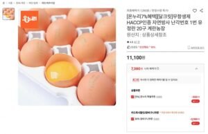 무항생제 자연방사 난각번호1번 유정란 20구