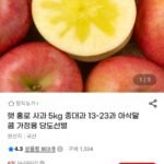 햇 홍로사과 중대과 5kg 13과-23과