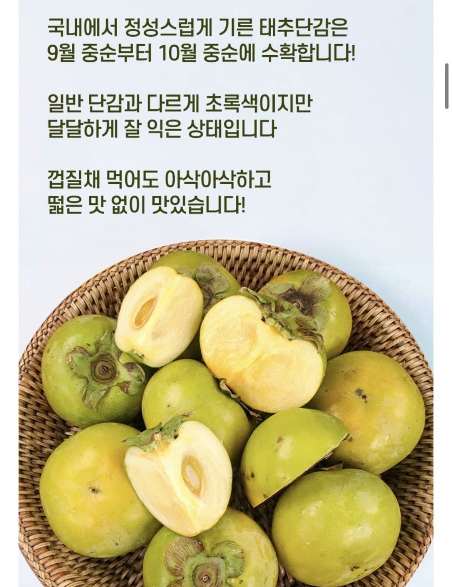 국내산 가을 태추단감 배단감 1kg