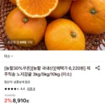 제주직송 노지감귤 3kg 대과