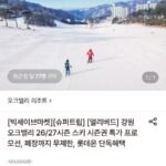강원 오크밸리 26/27시즌 주중 시즌권 외 다양
