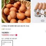 난각번호 1번 유정란 대란 40구