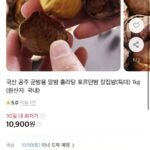 국산 공주 군밤용 알밤 1kg