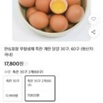 무항생제 특란 60구