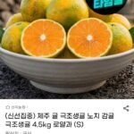 제주 귤 극조생 로얄과 4.5kg