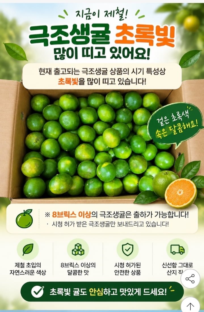 제주 귤 극조생 로얄과 4.5kg