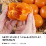 청도 씨없는감 반시 5kg 홍시용