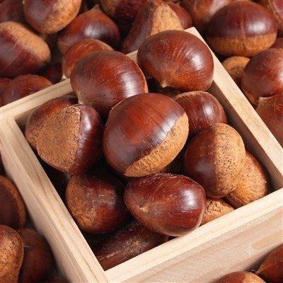 공주 햇 밤, 특품, 2kg, 1박스