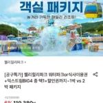 웰리힐리파크 2인 1박 패키지 (워터파크or자연차림+액티비티)