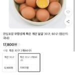 무항생제 특란 60구