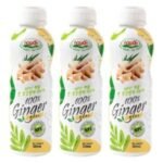 나원 NFC 착즙 찐 생강 원액 100%, 500ml (500ml × 3개)