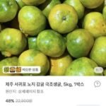 제주 서귀포 노지 감귤 5kg
